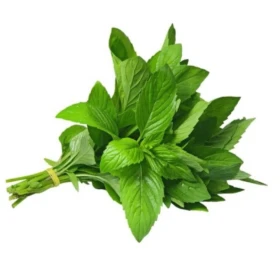 ضمة نعنع
